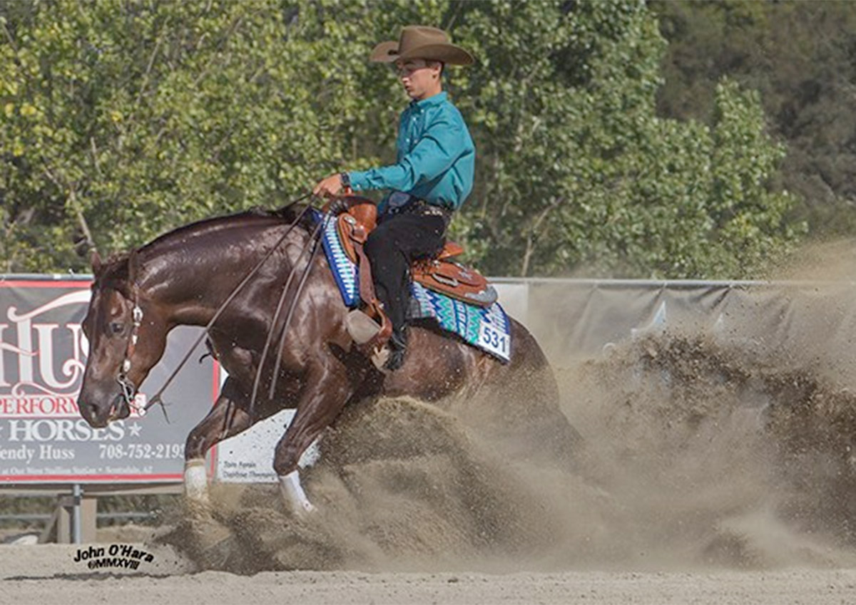 Luca Fappani Sweeps Derby Non-Pro