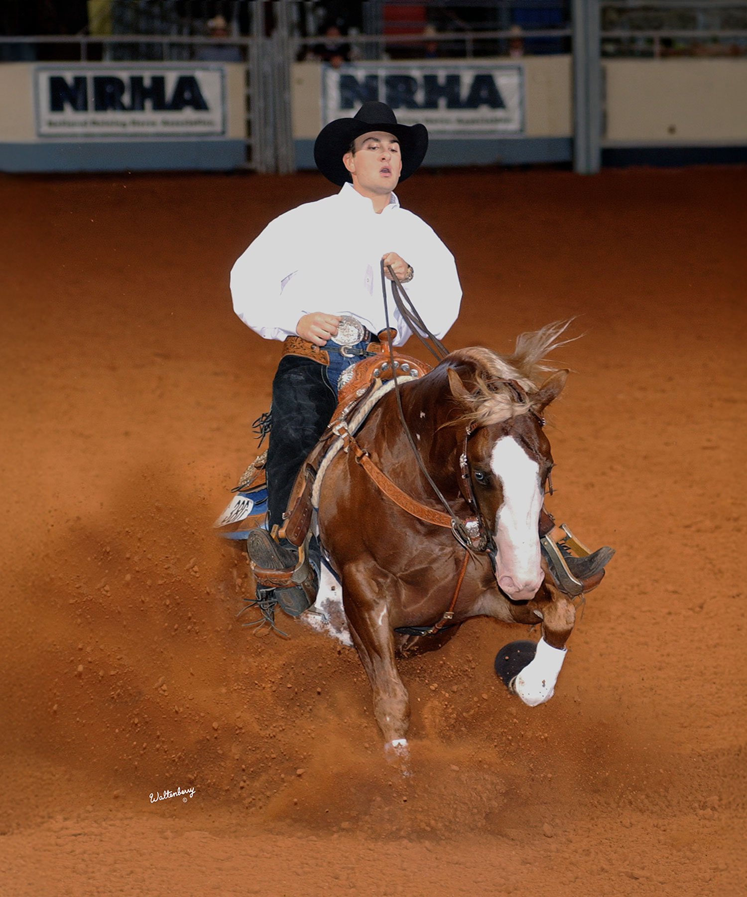 Andrea Fappani and RR Star, 2001 NRHA Open Futurity Champions