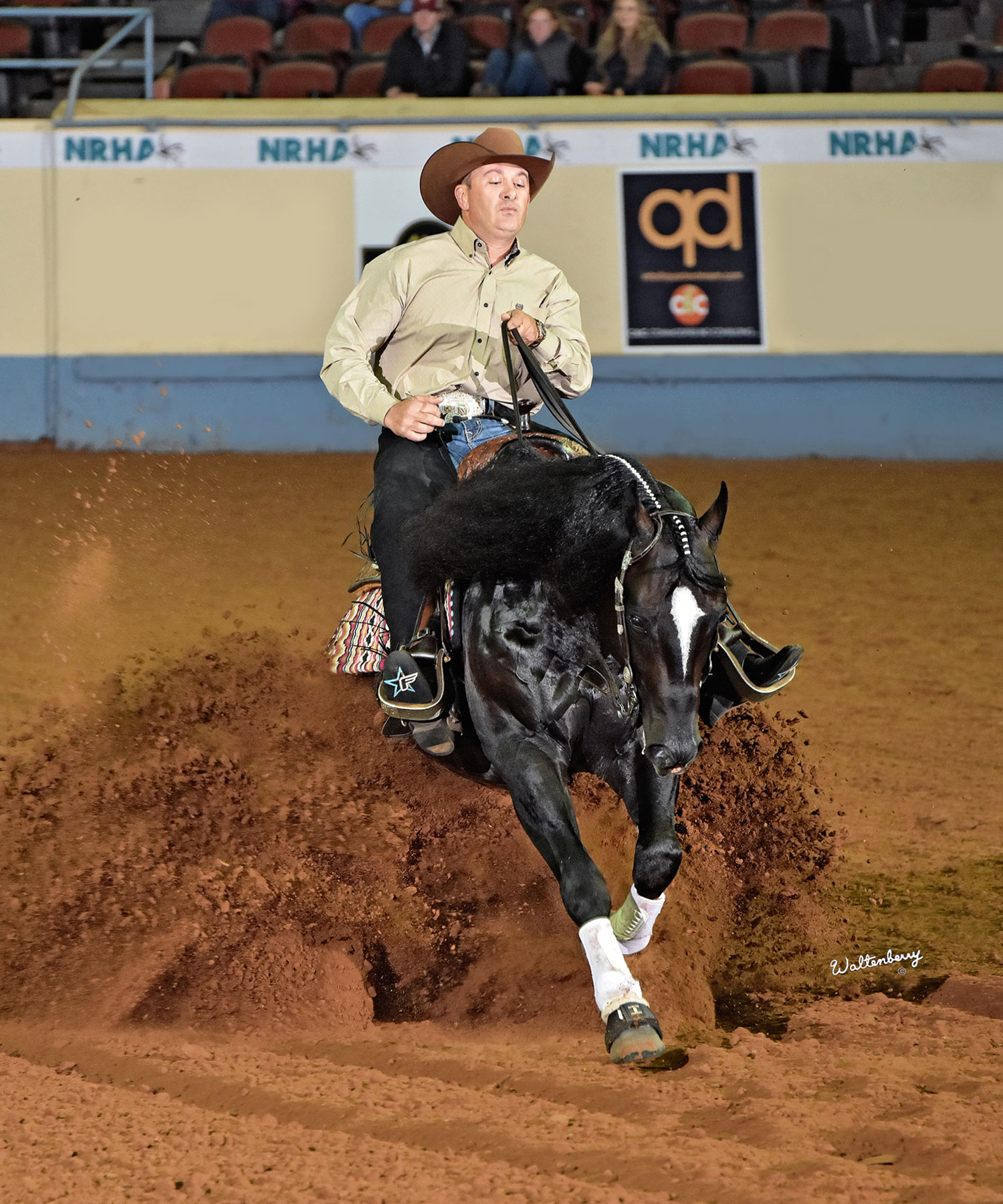 Andrea Fappani and Vintage Chex at the High Roller Reining Classic